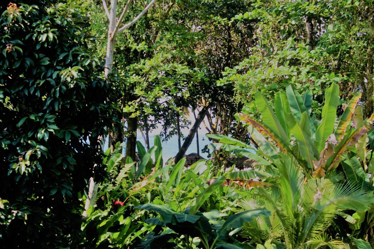 Casa Natural Puerto Viejo Hotel Puerto Viejo de Talamanca Bagian luar foto