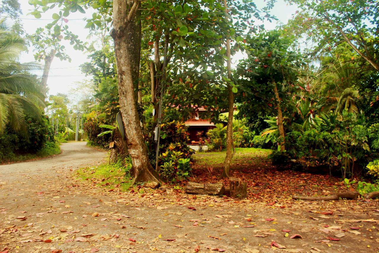 Casa Natural Puerto Viejo Hotel Puerto Viejo de Talamanca Bagian luar foto